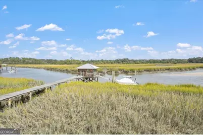 1579 NE Julienton Drive, Townsend, GA 31331 - Photo 7