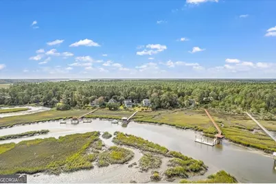 1579 NE Julienton Drive, Townsend, GA 31331 - Photo 5