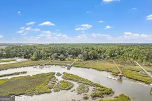 1579 NE Julienton Dr, Townsend, GA 31331 - Photo 5