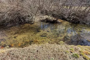 496 Scataway Rd, Hiawassee, GA 30546 - Photo 35