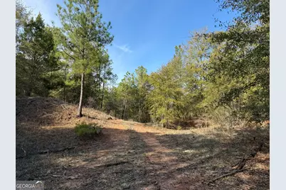 014 014 Sr-45, White Plains, GA 31780 - Photo 5