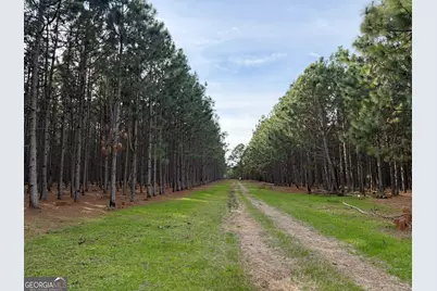 014 014 Sr-45, White Plains, GA 31780 - Photo 7