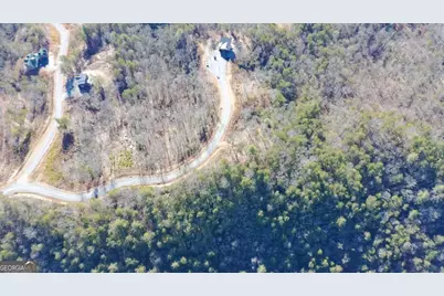 Lot 53 Mountain Laurel Ridge, Mineral Bluff, GA 30559 - Photo 3