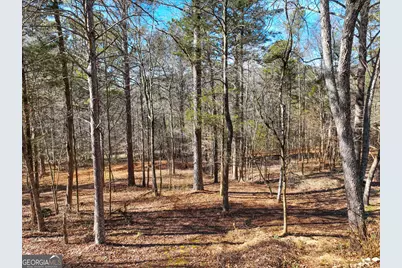 881 Bolcar Boulevard (27 +/- Acres), La Fayette, GA 30728 - Photo 9