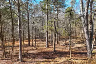 881 Bolcar Blvd (27 +/- Acres), La Fayette, GA 30728 - Photo 9