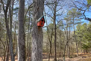 881 Bolcar Blvd (27 +/- Acres), La Fayette, GA 30728 - Photo 35