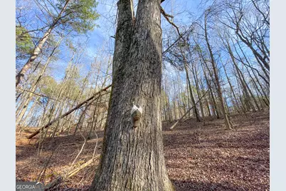 881 Bolcar Boulevard (27 +/- Acres), La Fayette, GA 30728 - Photo 13