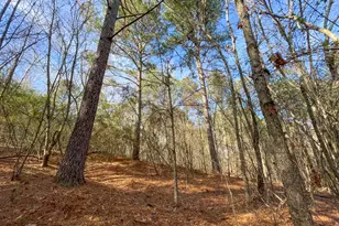 881 Bolcar Blvd (27 +/- Acres), La Fayette, GA 30728 - Photo 37