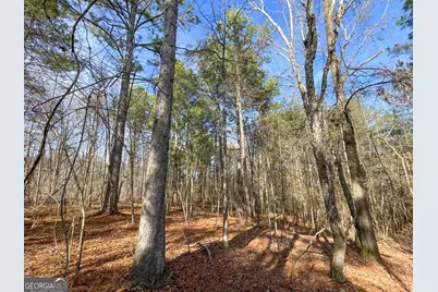 881 Bolcar Boulevard (27 +/- Acres), La Fayette, GA 30728 - Photo 5