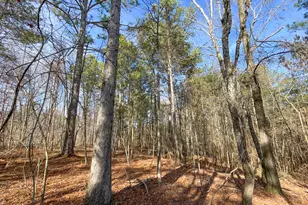 881 Bolcar Blvd (27 +/- Acres), La Fayette, GA 30728 - Photo 5