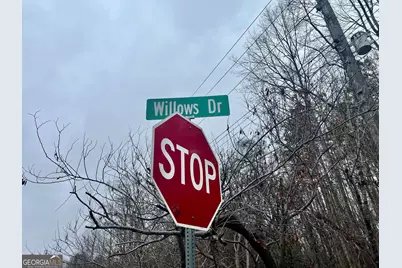 0 Willows Dr, Cleveland, GA 30528 - Photo 5
