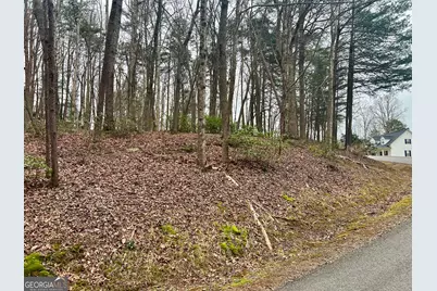 0 Willows Dr, Cleveland, GA 30528 - Photo 3