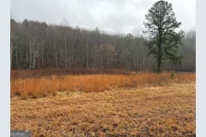 Lot 42 Whisper Woods Road, Hiawassee, GA 30546 - Photo 1