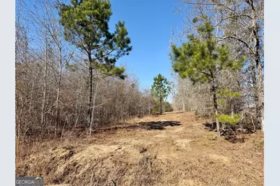 South Tract 0 Shady Grove Road, Abbeville, GA 31001 - Photo 17
