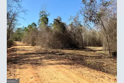 South Tract 0 Shady Grove Road, Abbeville, GA 31001 - Photo 5