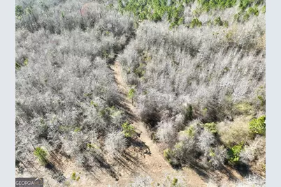 South Tract 0 Shady Grove Road, Abbeville, GA 31001 - Photo 7