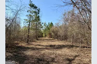 South Tract 0 Shady Grove Road, Abbeville, GA 31001 - Photo 25