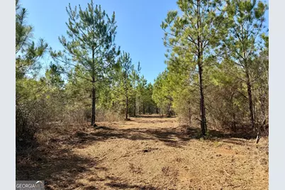 South Tract 0 Shady Grove Road, Abbeville, GA 31001 - Photo 9
