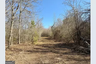 South Tract 0 Shady Grove Road, Abbeville, GA 31001 - Photo 11