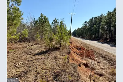 South Tract 0 Shady Grove Road, Abbeville, GA 31001 - Photo 21