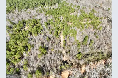 South Tract 0 Shady Grove Road, Abbeville, GA 31001 - Photo 13