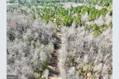 South Tract 0 Shady Grove Road, Abbeville, GA 31001 - Photo 15