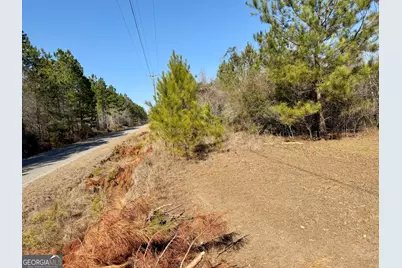 South Tract 0 Shady Grove Road, Abbeville, GA 31001 - Photo 23