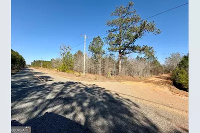 South Tract 0 Shady Grove Road, Abbeville, GA 31001 - Photo 3