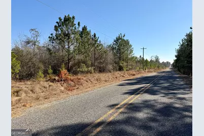 South Tract 0 Shady Grove Road, Abbeville, GA 31001 - Photo 27