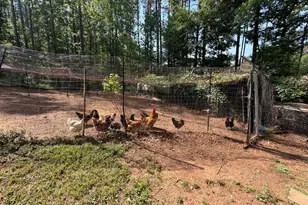 164 Sims Rd, Hogansville, GA 30230 - Photo 27