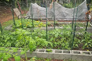 164 Sims Rd, Hogansville, GA 30230 - Photo 49