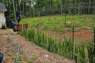 164 Sims Rd, Hogansville, GA 30230 - Photo 45