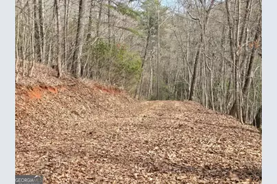 13.75 Ac Caesar Gap Road, Hiawassee, GA 30546 - Photo 11