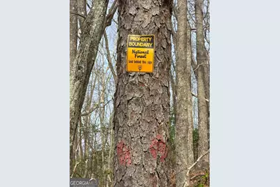 13.75 Ac Caesar Gap Road, Hiawassee, GA 30546 - Photo 19