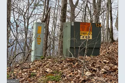 13.75 Ac Caesar Gap Road, Hiawassee, GA 30546 - Photo 7