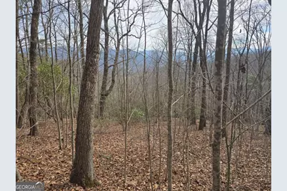 13.75 Ac Caesar Gap Road, Hiawassee, GA 30546 - Photo 5