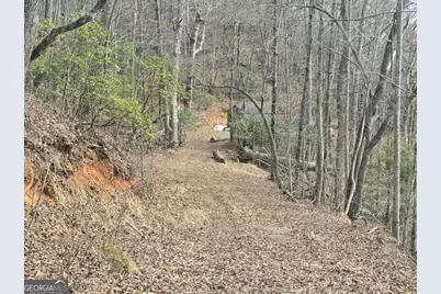 13.75 Ac Caesar Gap Road, Hiawassee, GA 30546 - Photo 9