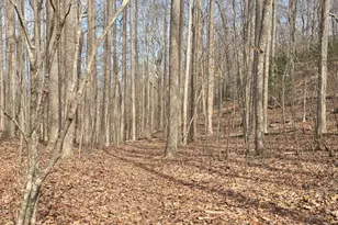 13 75 Ac Caesar Gap Rd, Hiawassee, GA 30546 - Photo 1