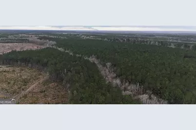 0 Highway 121, Glennville, GA 30427 - Photo 11