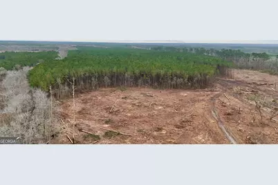 0 Highway 121, Glennville, GA 30427 - Photo 13