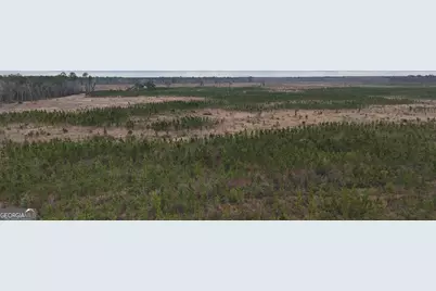 0 Highway 121, Glennville, GA 30427 - Photo 7