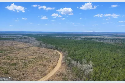 0 Highway 121, Glennville, GA 30427 - Photo 5