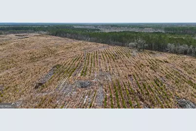 0 Highway 121, Glennville, GA 30427 - Photo 9