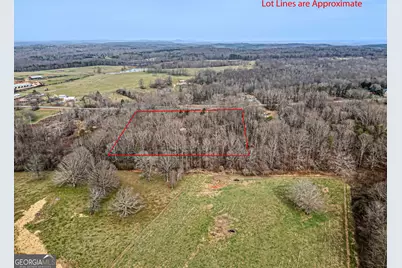 436 Tommy Irvin Road, Mount Airy, GA 30563 - Photo 55