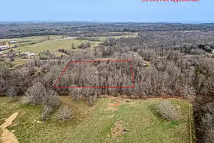 436 Tommy Irvin Rd, Mount Airy, GA 30563 - Photo 55