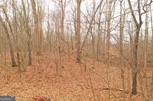 436 Tommy Irvin Rd, Mount Airy, GA 30563 - Photo 25