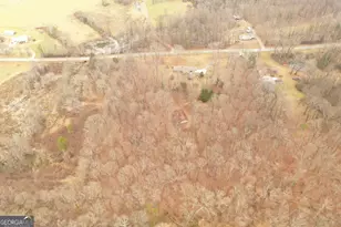 436 Tommy Irvin Rd, Mount Airy, GA 30563 - Photo 17