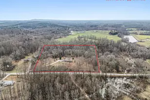 436 Tommy Irvin Rd, Mount Airy, GA 30563 - Photo 3