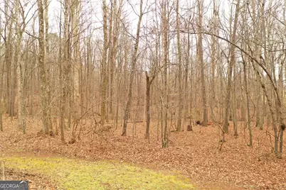 436 Tommy Irvin Road, Mount Airy, GA 30563 - Photo 25