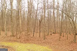 436 Tommy Irvin Rd, Mount Airy, GA 30563 - Photo 25